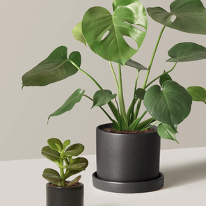 Подарочный комплект